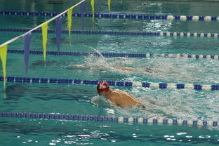 JiuyouAPP下载-张雨霏自由泳赛段发力迅速，张雨霏自由泳实力